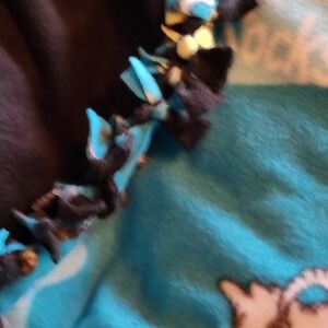 Blue and Black Fleece Tie-Edge Throw